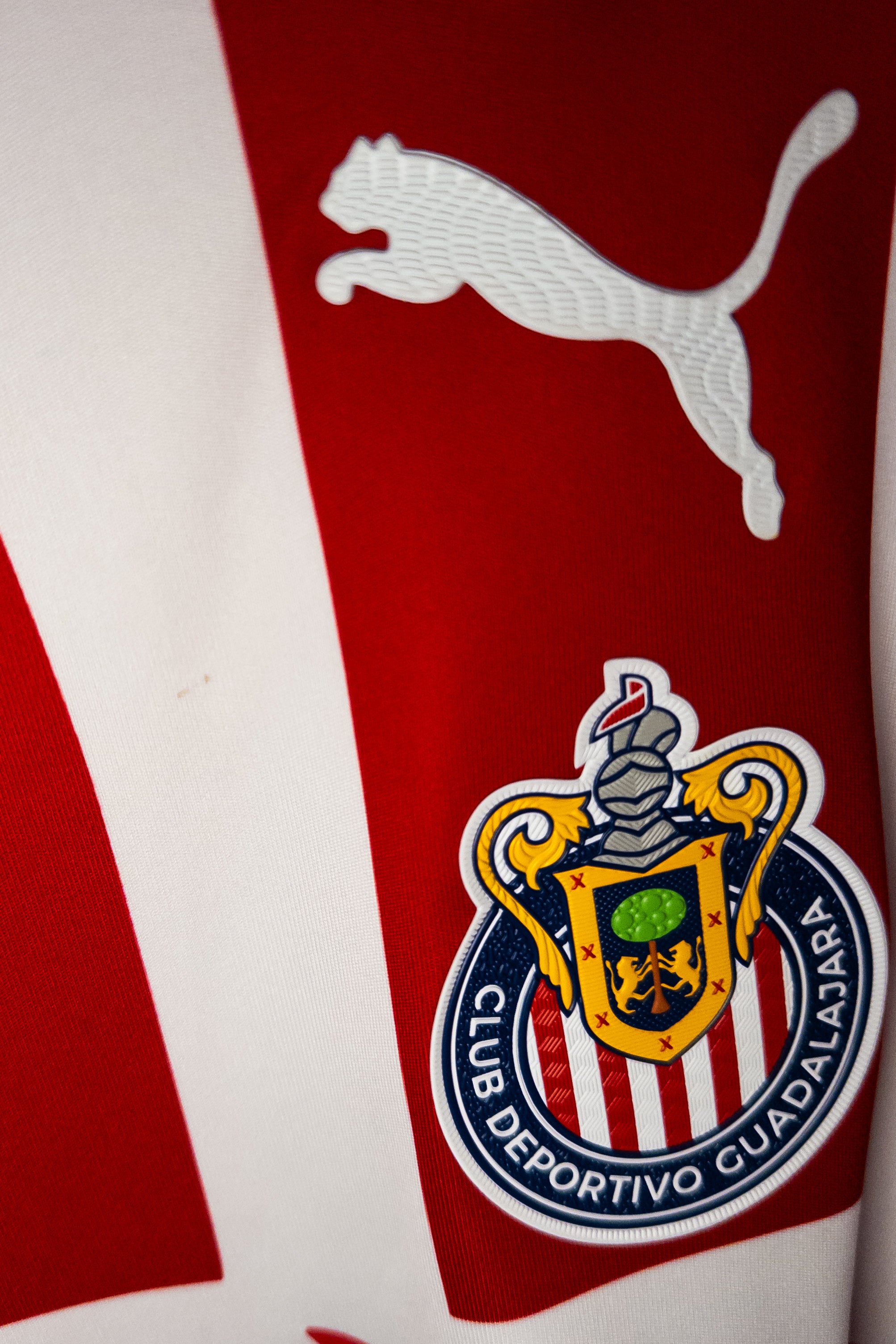 Chivas Local 2023/24 Javier “Chicharito” Hernández #14