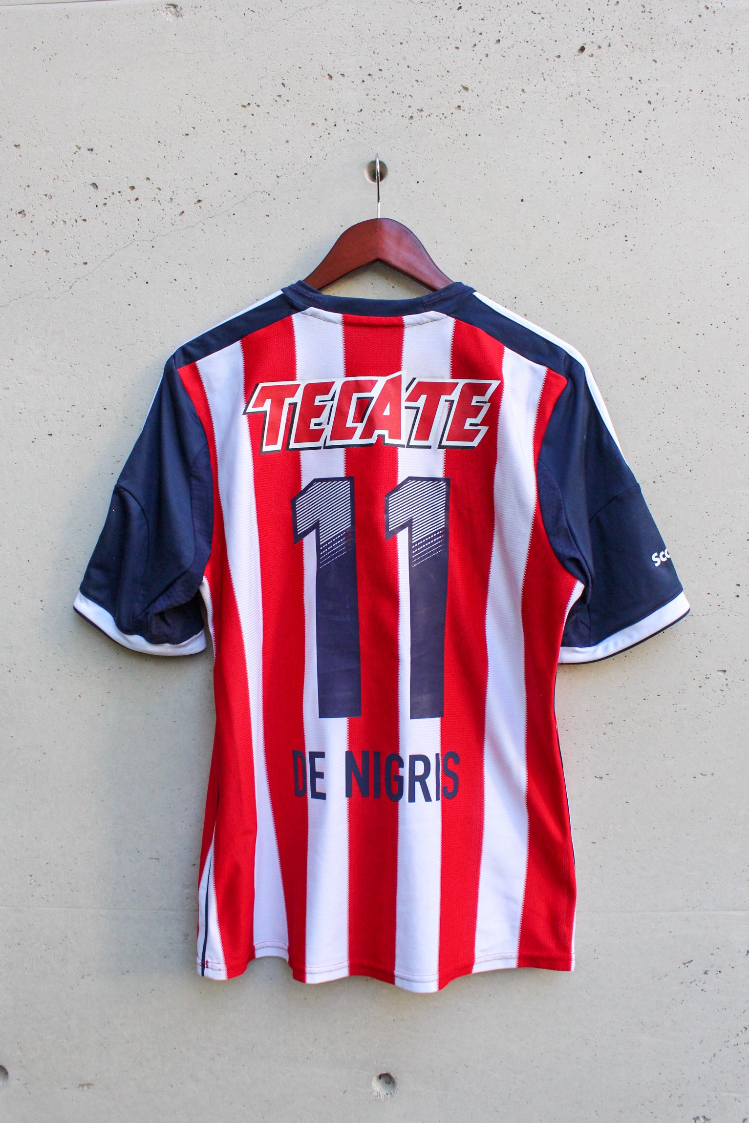 Chivas Local 2013/14 Aldo De Nigris #11.