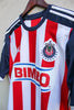 Chivas Local 2013/14 Aldo De Nigris #11.