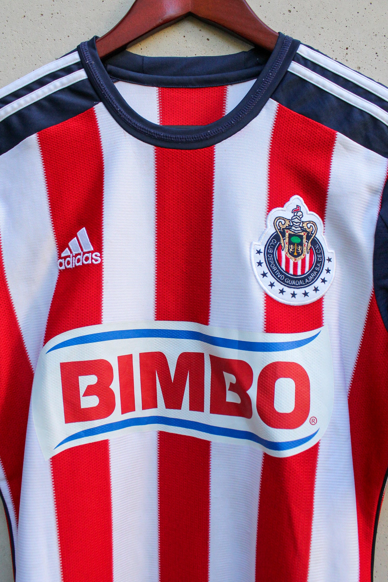 Chivas Local 2013/14 Aldo De Nigris #11.