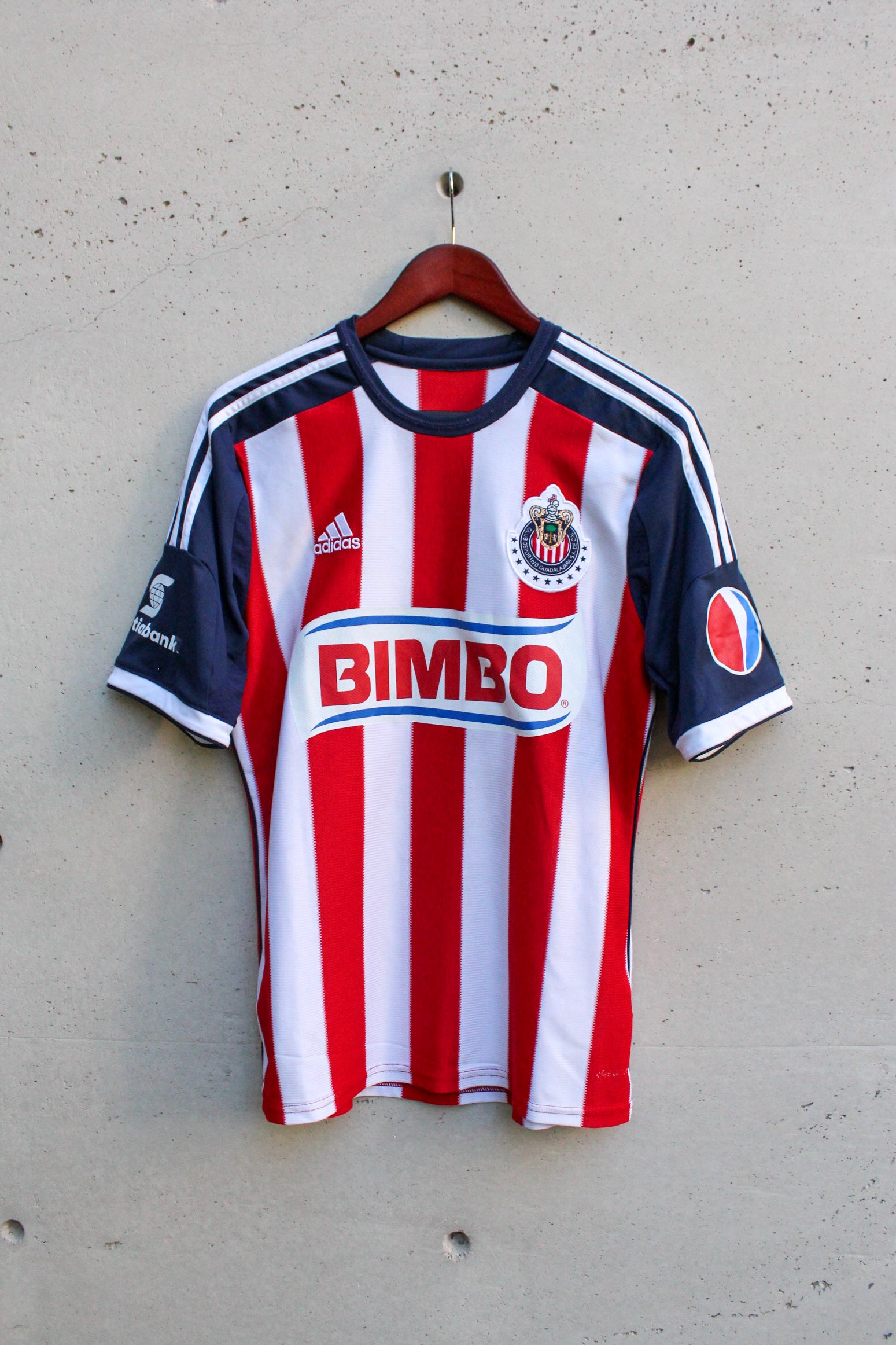 Chivas Local 2013/14 Aldo De Nigris #11.