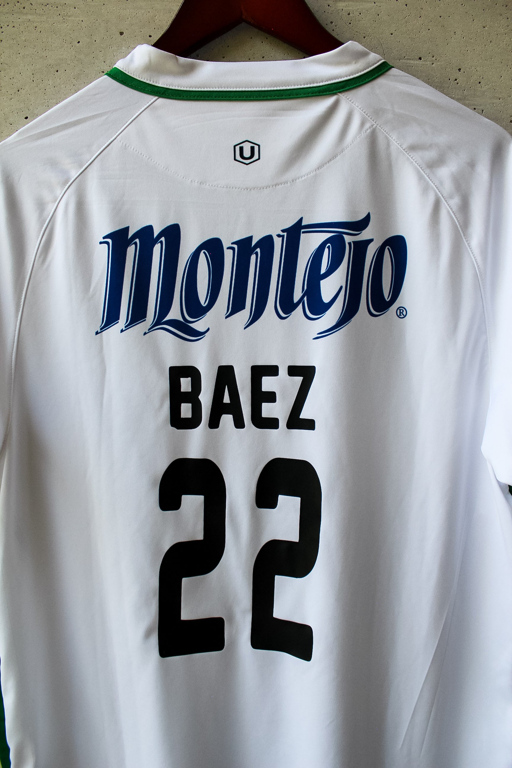 Venados de Mérida Visita 2017/18 Gabriel Báez #22