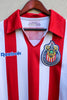 Chivas Campeonísimo 2008.