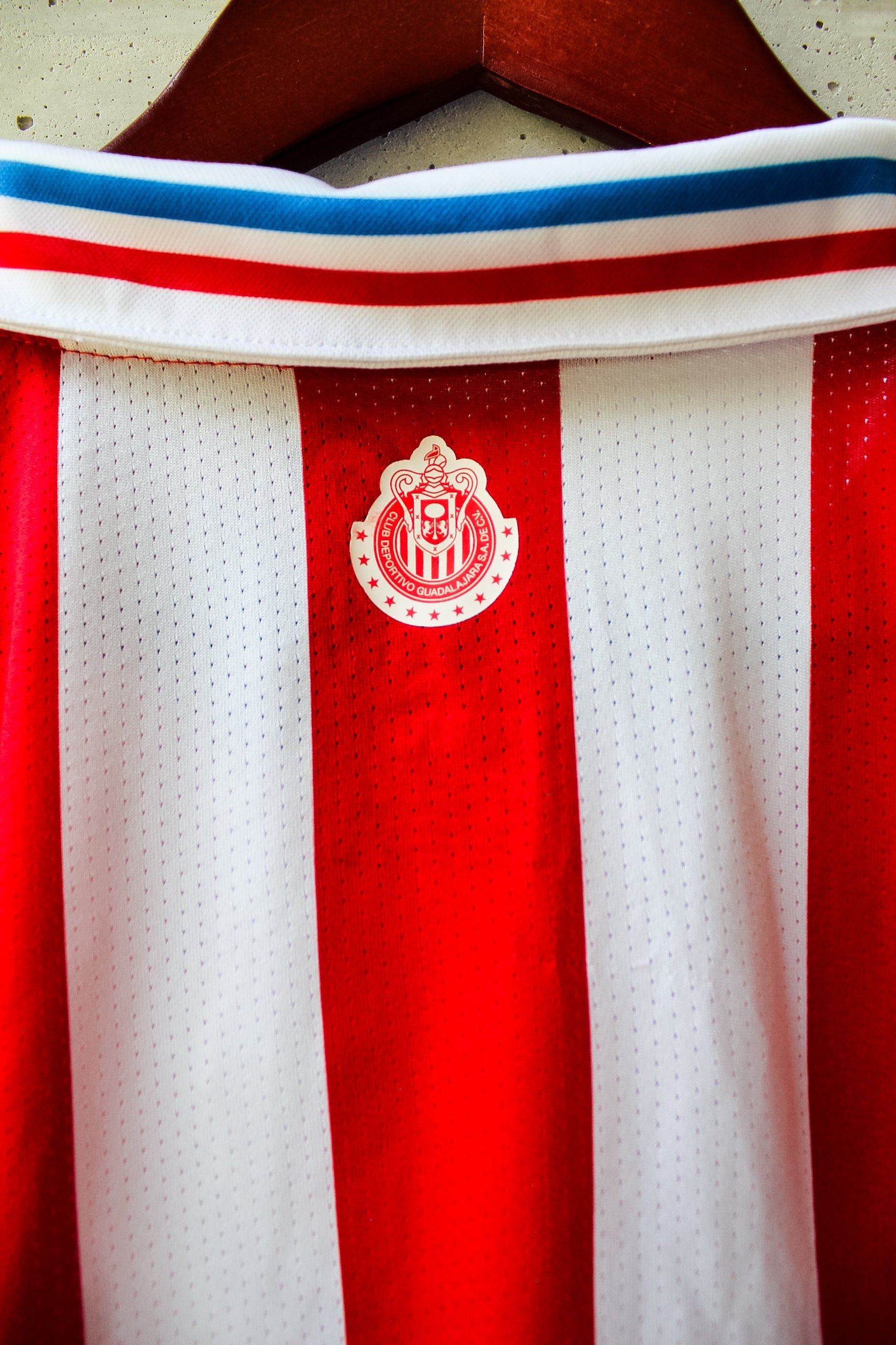 Chivas 110 Aniversario Foliada