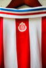 Chivas 110 Aniversario Foliada