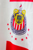 Chivas Local Invierno 1996