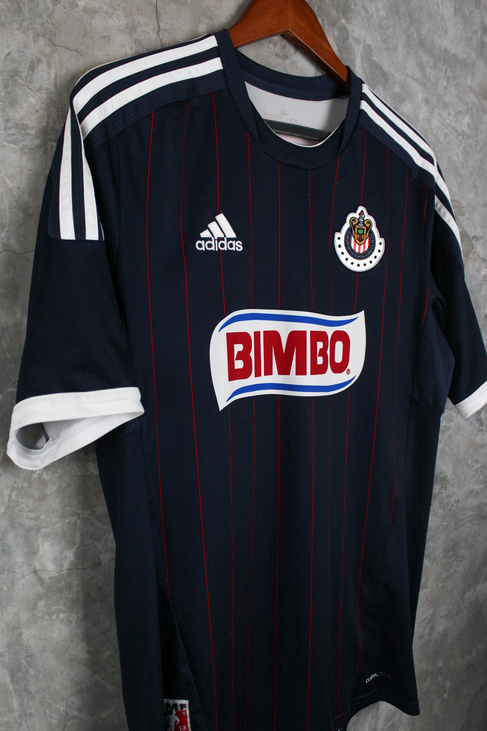 Chivas Visitante 2011/12 Alberto "Venado" Medina #10