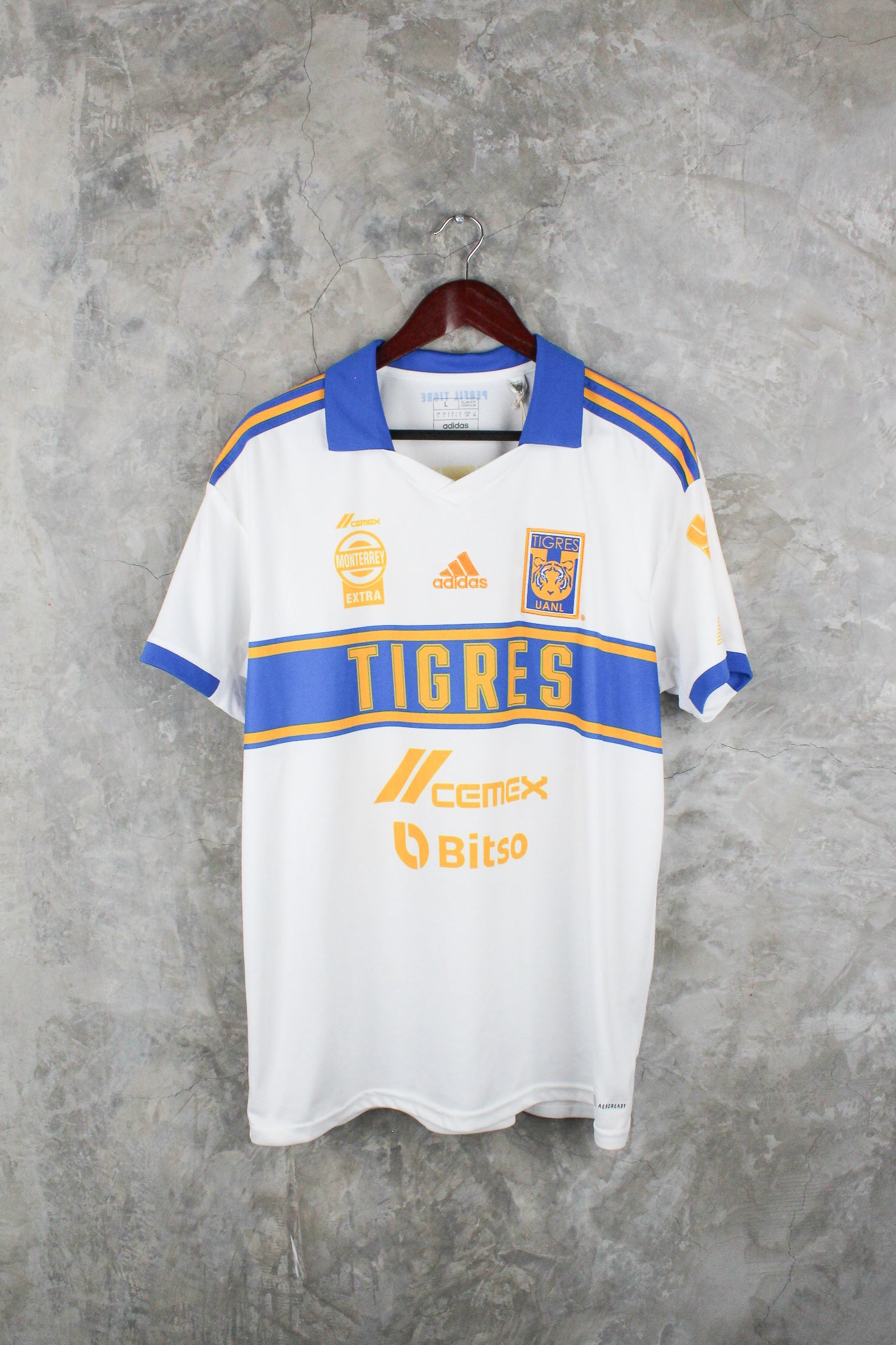 Tigres UANL Tercera 2022/23