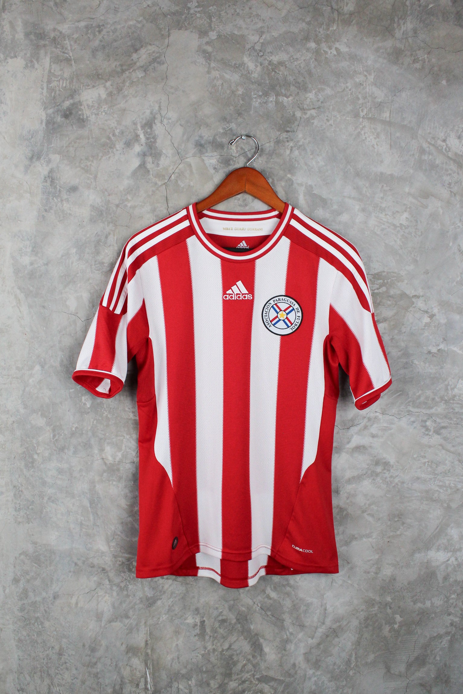 Selección Paraguay Local 2011