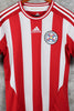 Selección Paraguay Local 2011
