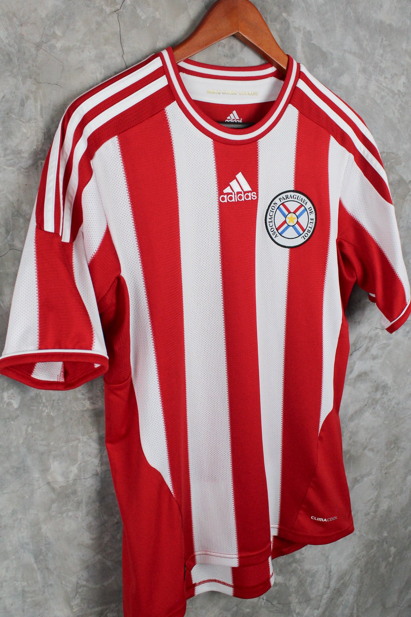 Selección Paraguay Local 2011