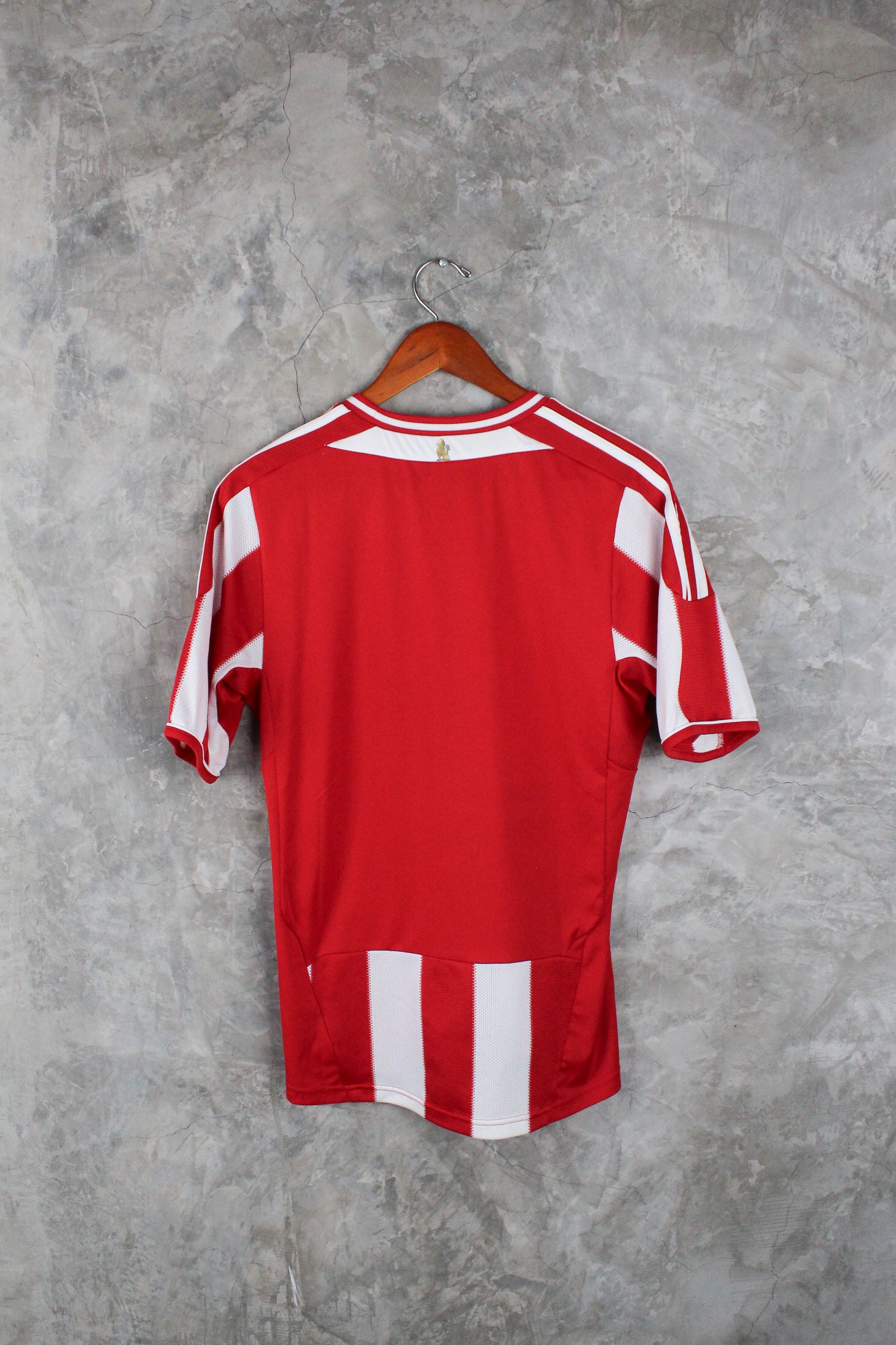 Selección Paraguay Local 2011