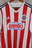 Chivas Local 2014/15 Omar Bravo #9
