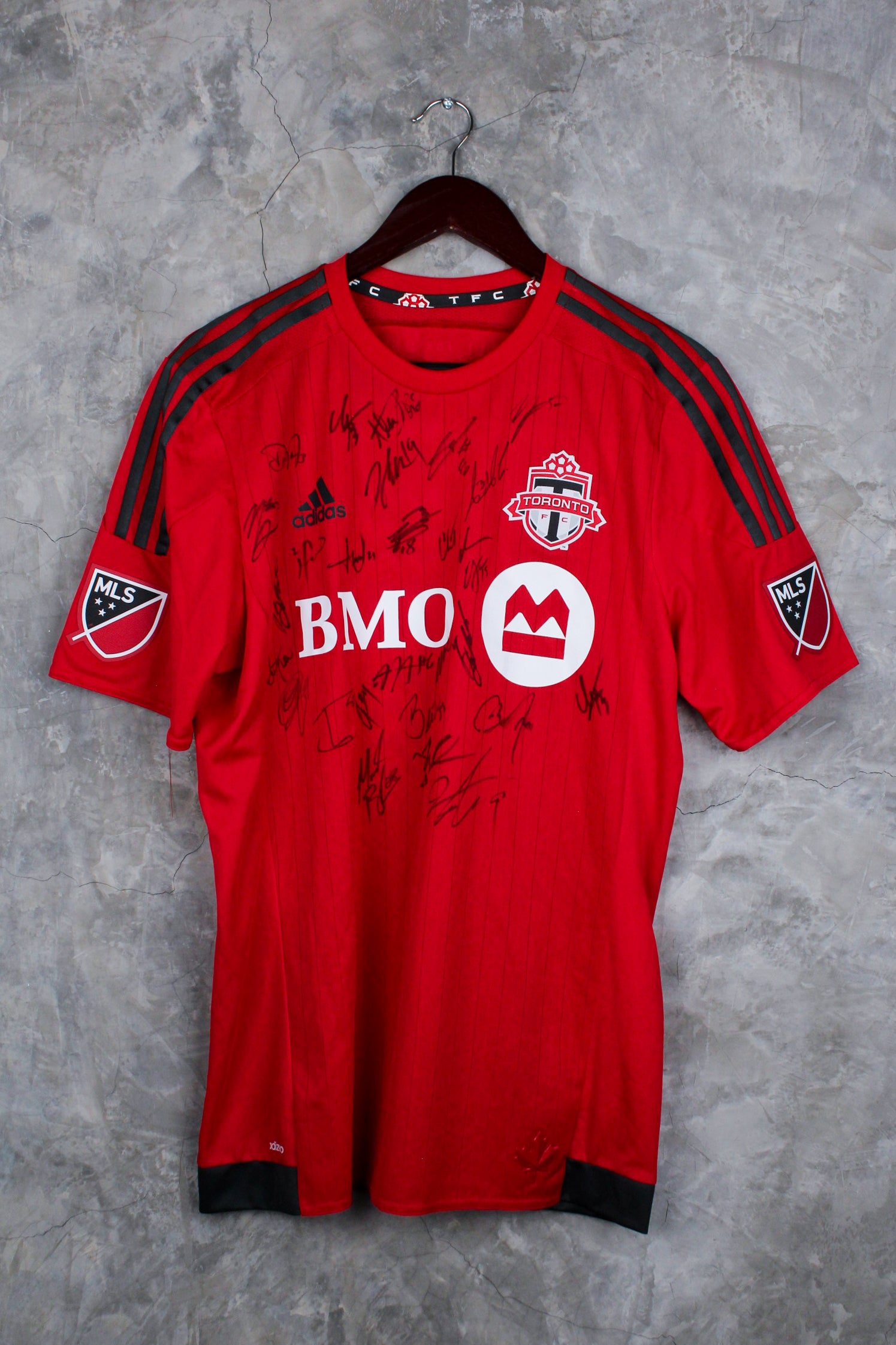 Toronto FC Local 2015/16