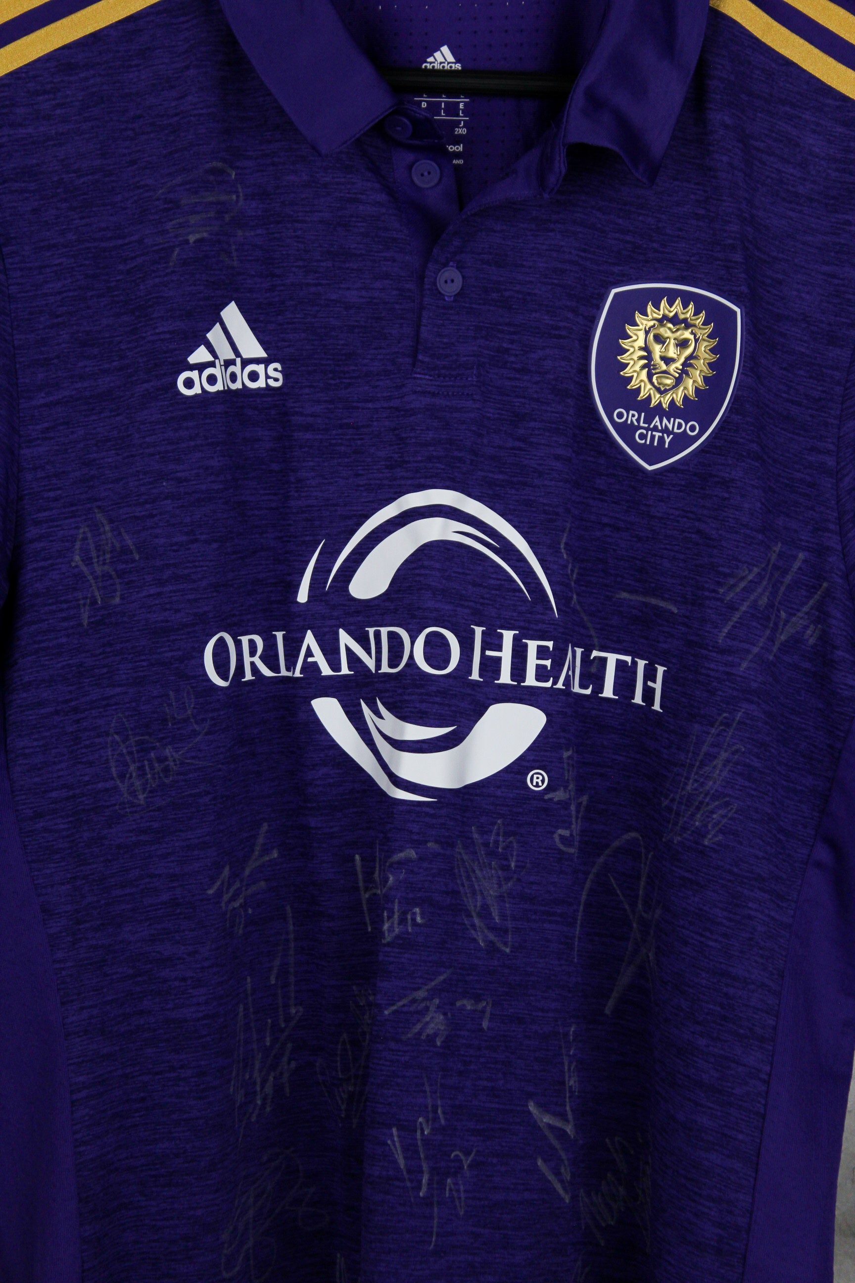 Orlando City Local 2018