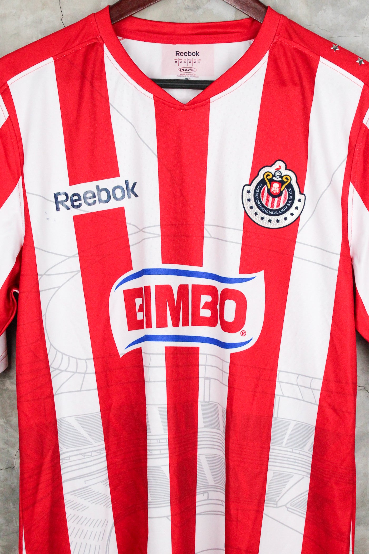 Chivas Copa Libertadores Local 2010