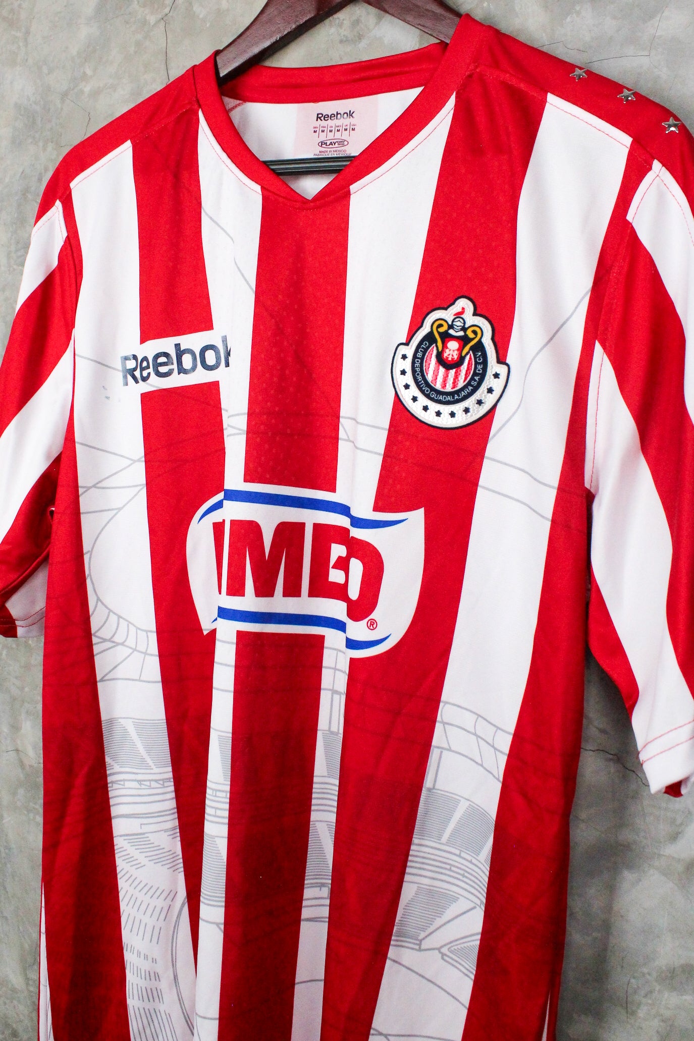 Chivas Copa Libertadores Local 2010
