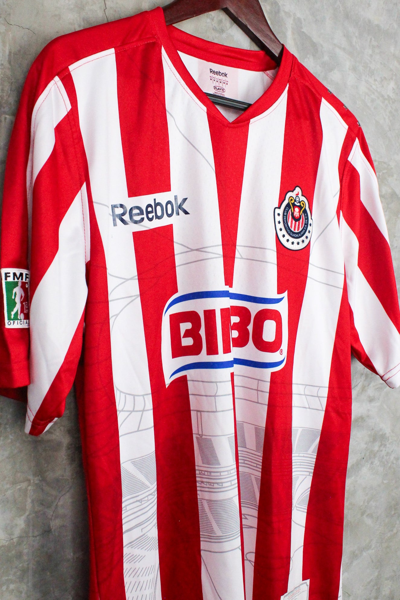 Chivas Copa Libertadores Local 2010