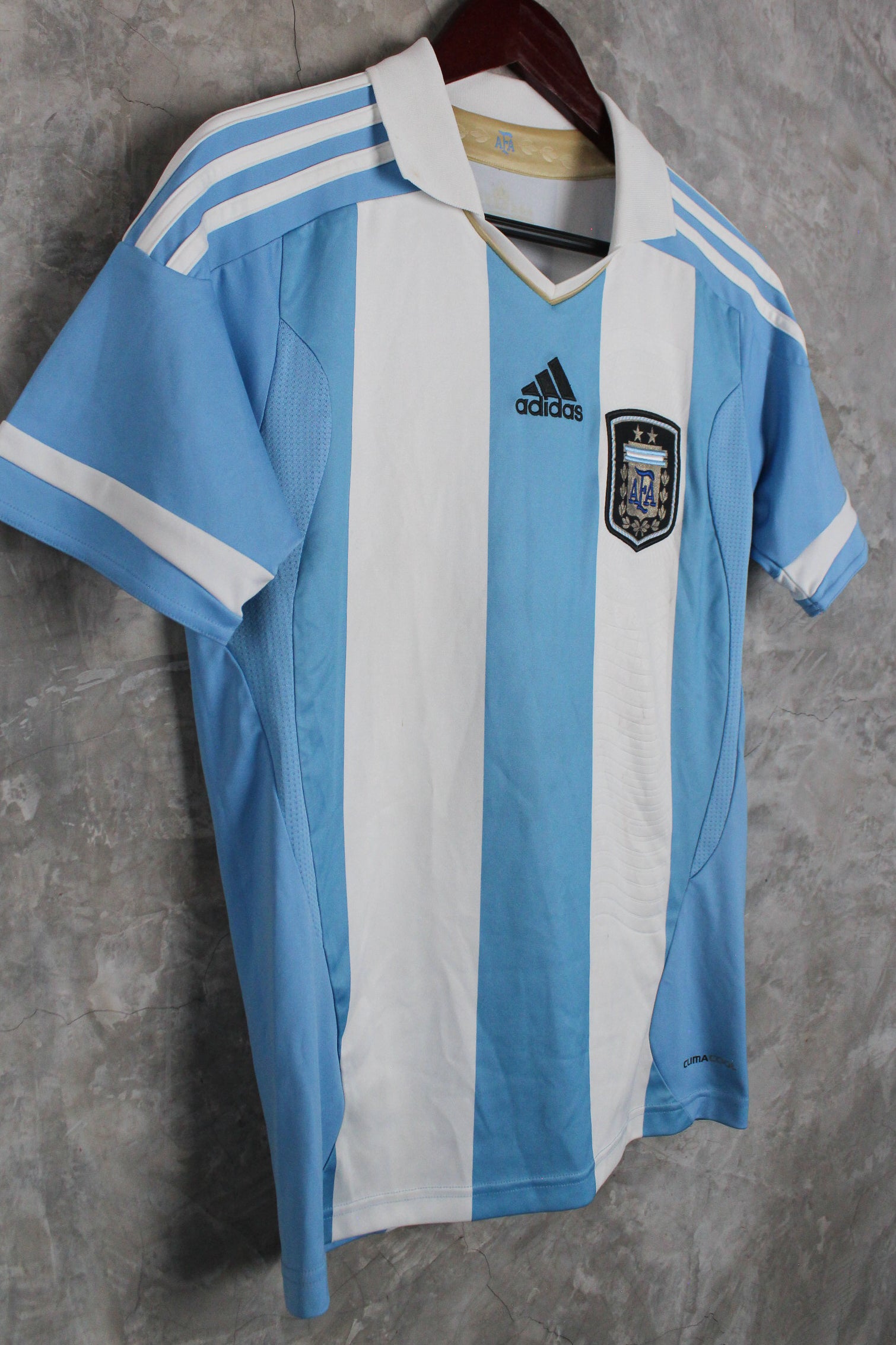 Selección Argentina 2011 Local